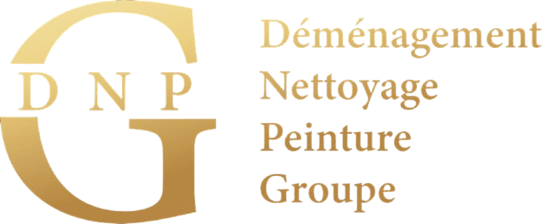 DNP GROUPE